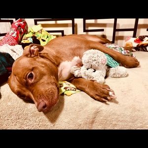 Meet your Posher, Sharon